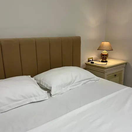 Duplex Cane 公寓 地拉那